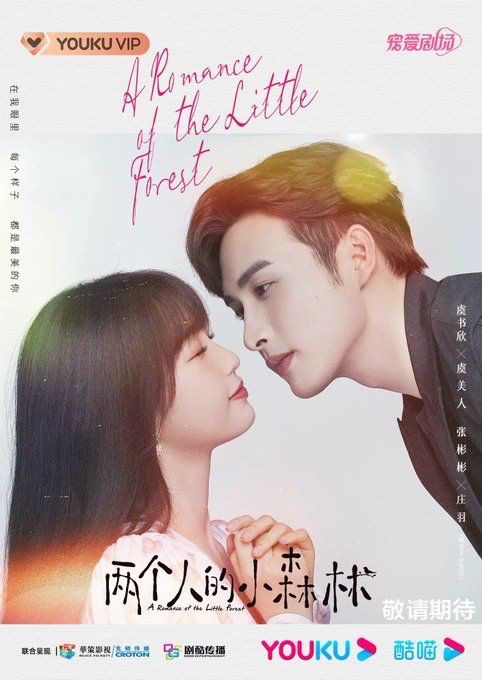 A Romance of the Little Forest Drama Review - poster 2