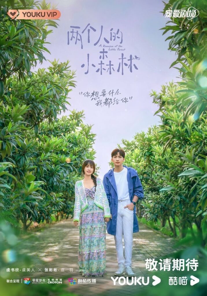A Romance of the Little Forest Drama Review - poster 3