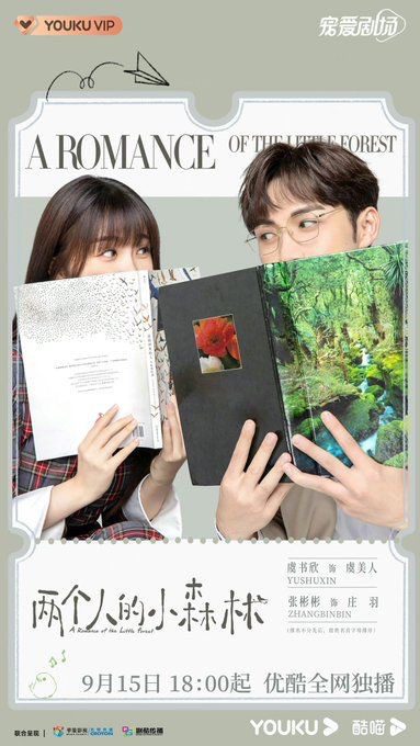 A Romance of the Little Forest Drama Review - poster 4