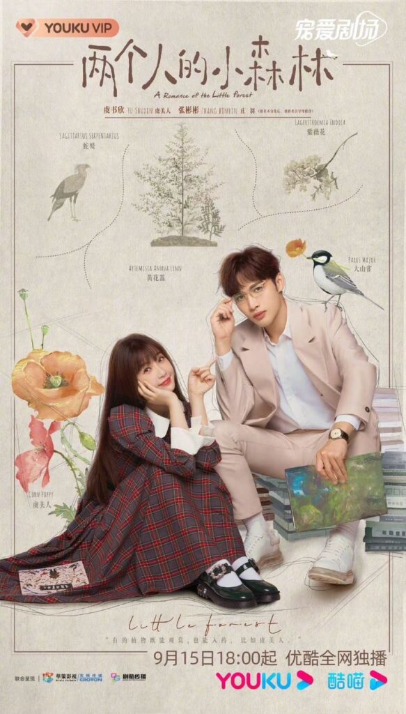 A Romance of the Little Forest Drama Review - poster 5
