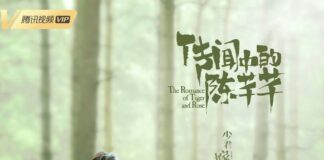 The Romance of Tiger And Rose Ending Explained The Romance of Tiger And Rose Ending Explained - cover