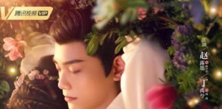 The Romance of Tiger And Rose Drama Review The Romance of Tiger and Rose drama review - cover