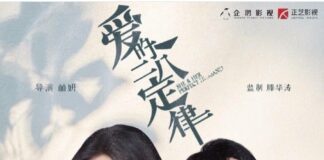 She And Her Perfect Husband Drama Review She and Her Perfect Husband drama review - cover