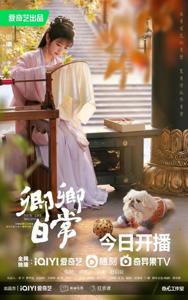 New Life Begins drama review - Tian Xi Wei as Li Wei