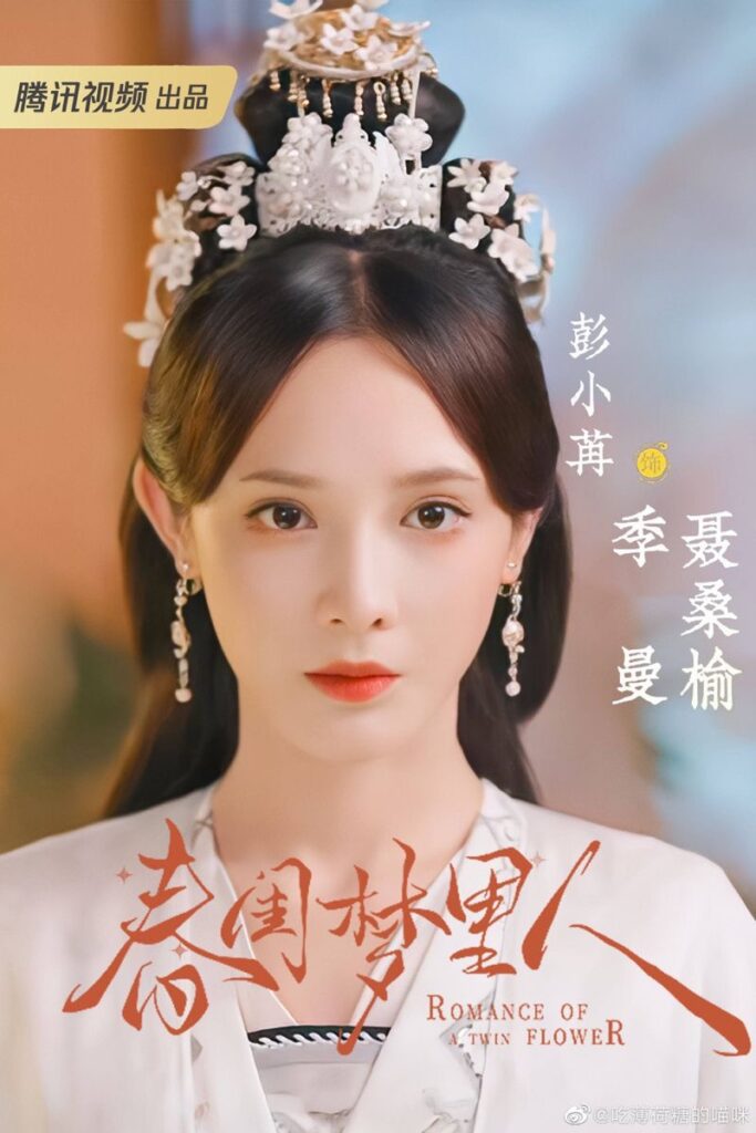Romance of a Twin Flower drama review - Peng Xiao Ran as Nie Sangyu