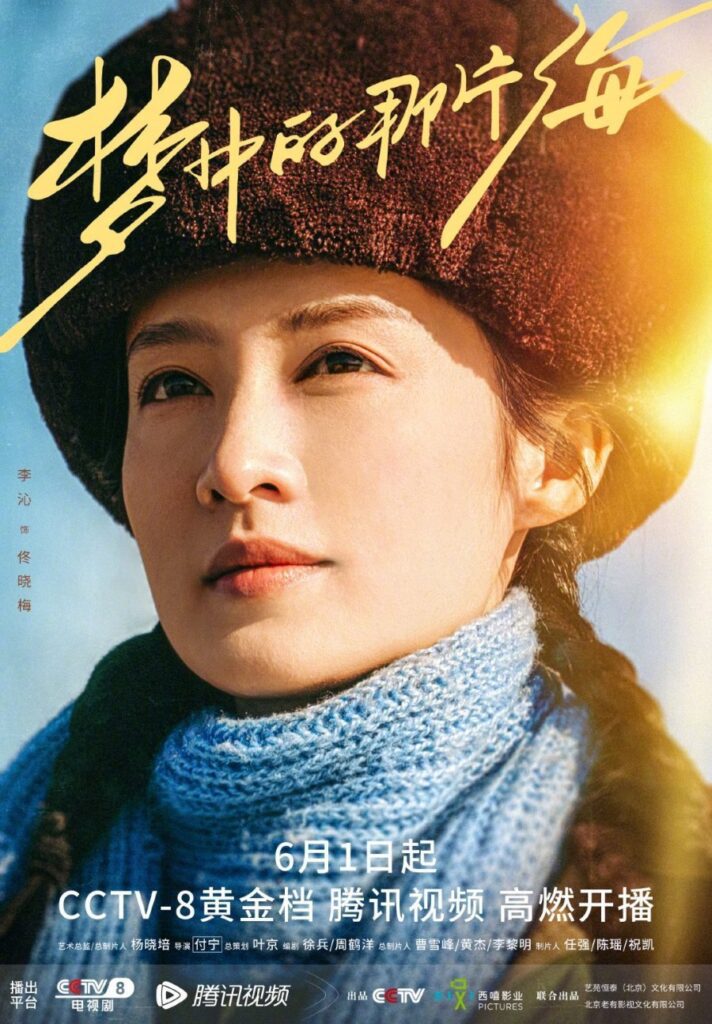 The Youth Memories Drama Review - Li Qin as Tong Xiao Mei