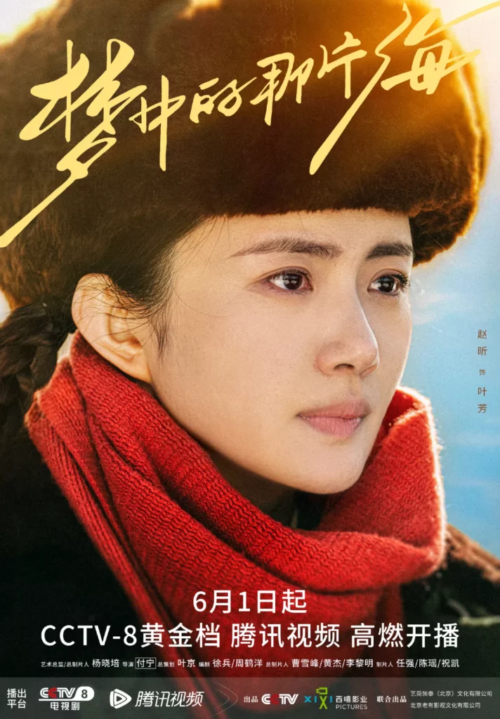 The Youth Memories Drama Review - Zhao Xin as Ye Fang