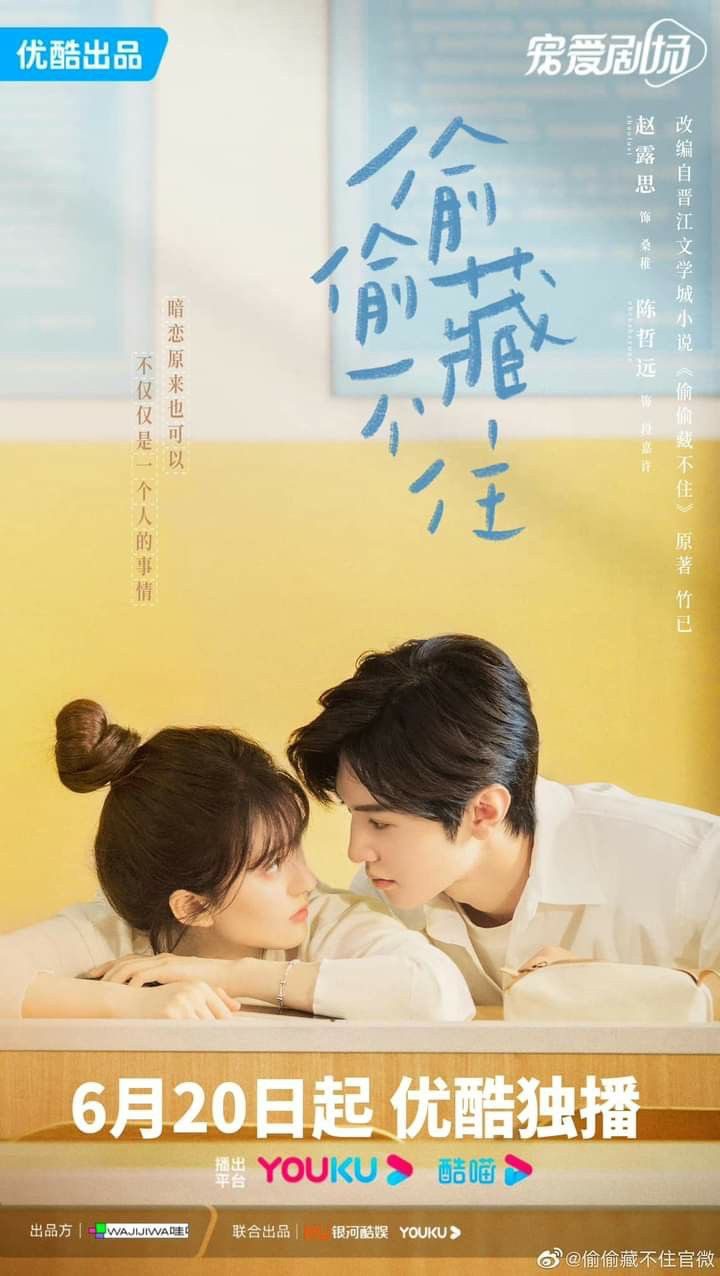 Reviewing the Chinese drama Hidden Love, what are some of the