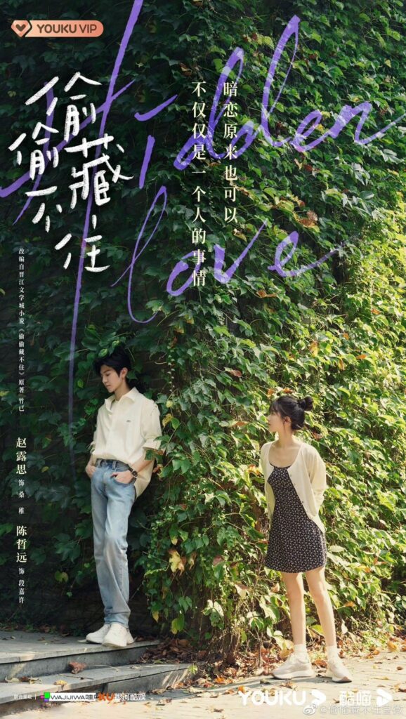 Hidden Love Drama Review - poster 5