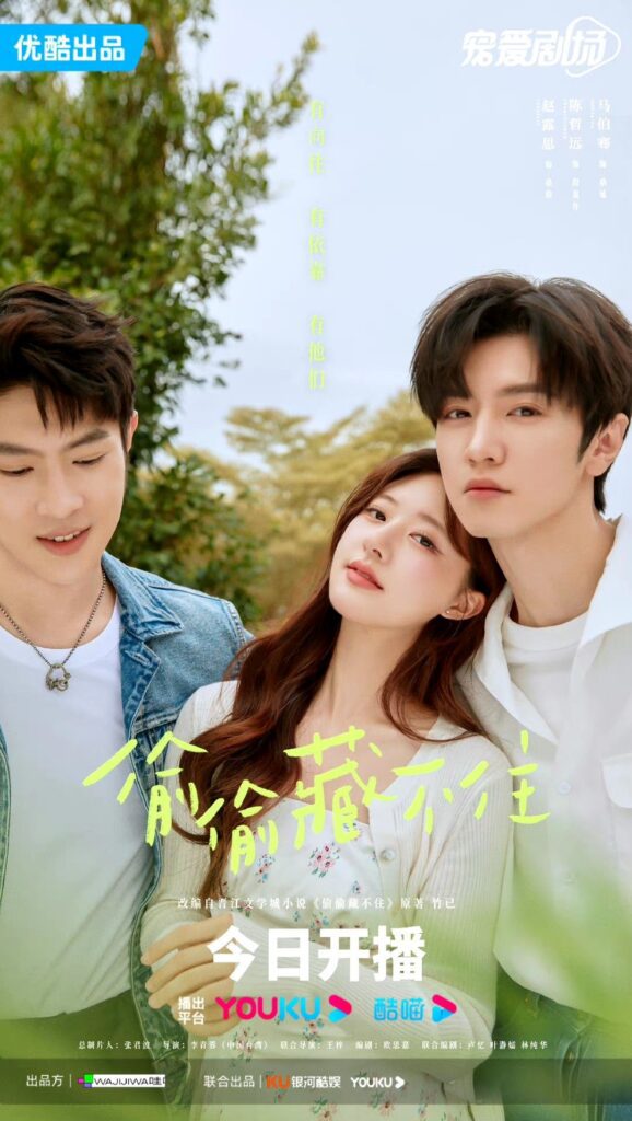 Hidden Love Drama Review - poster