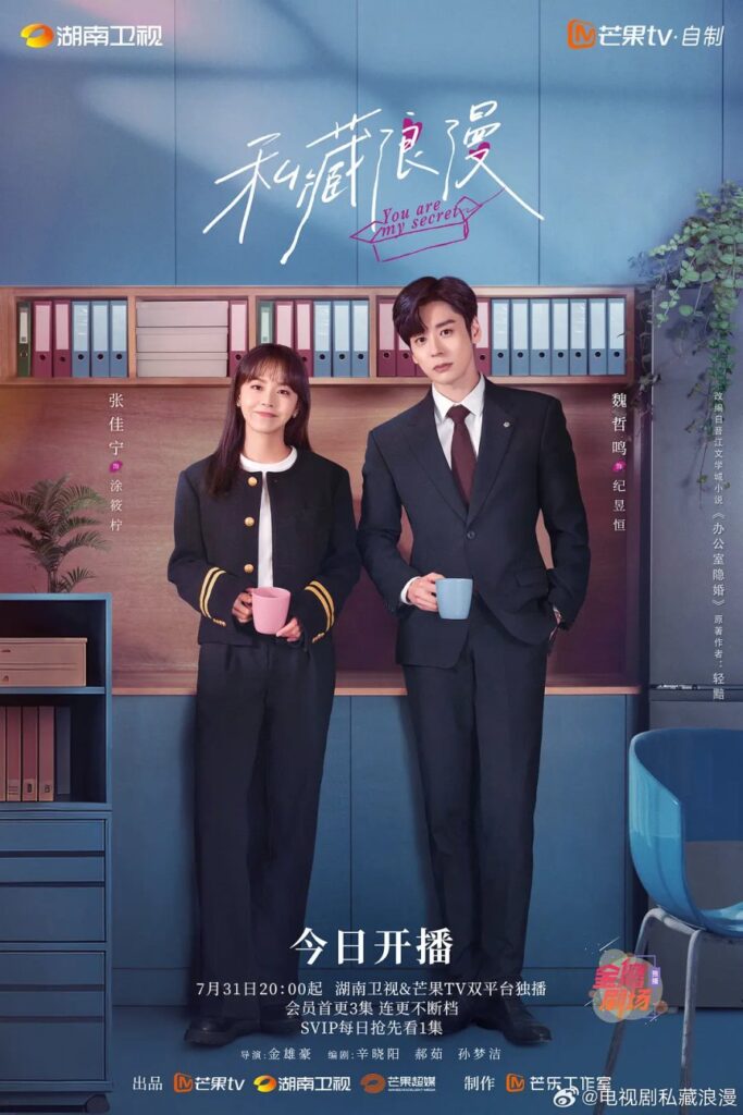 You Are My Secret Drama Review - poster