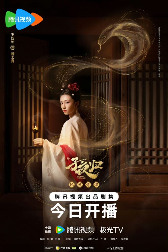 Moonlit Reunion Drama Review - Liu Tai Zhen (Played by Wang Jia Yi)