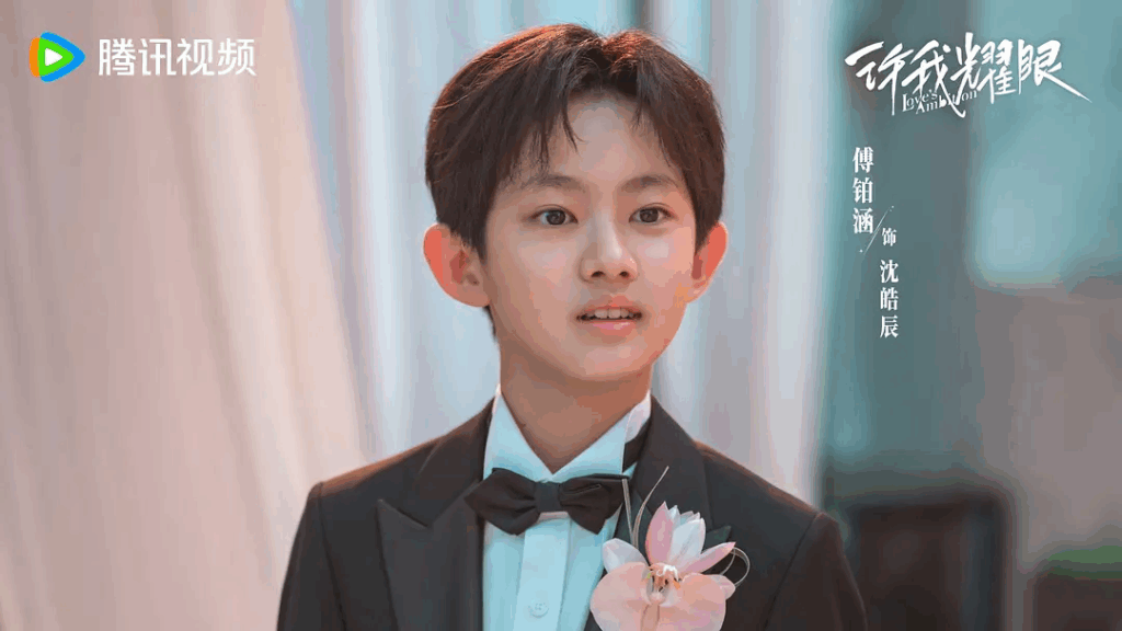Love’s Ambitions Drama Review - Shen Hao Chen