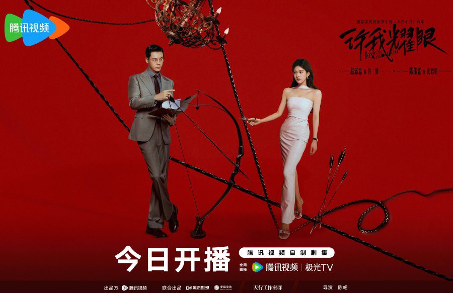 Love’s Ambitions Drama Review - poster