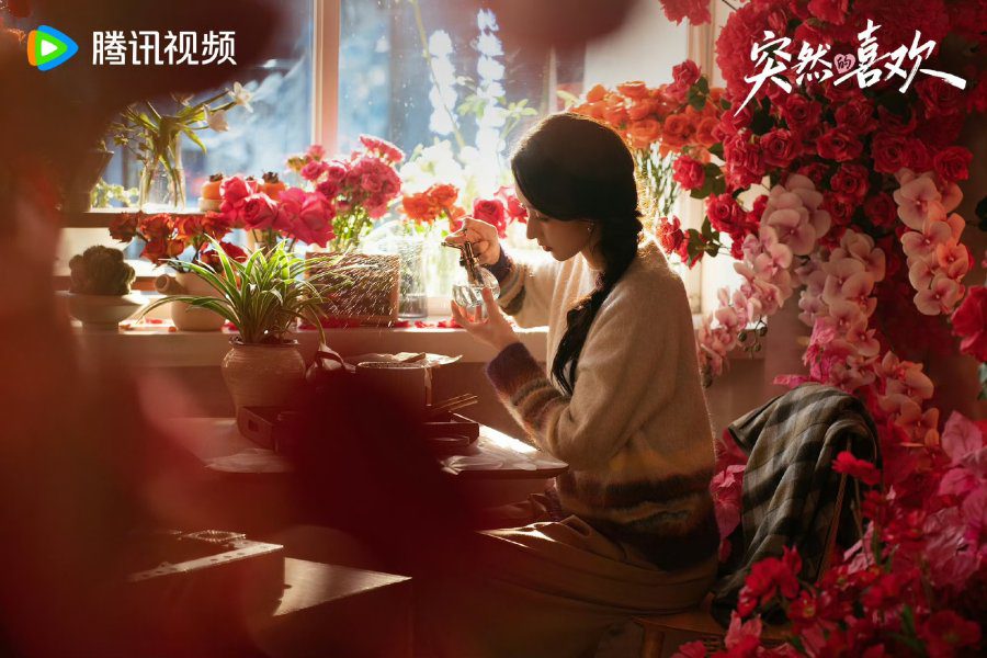 My Page in the 90s Ending Explained - Lin Huan Er