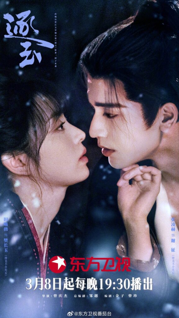 Pursuit of Jade Drama Review - poster 3