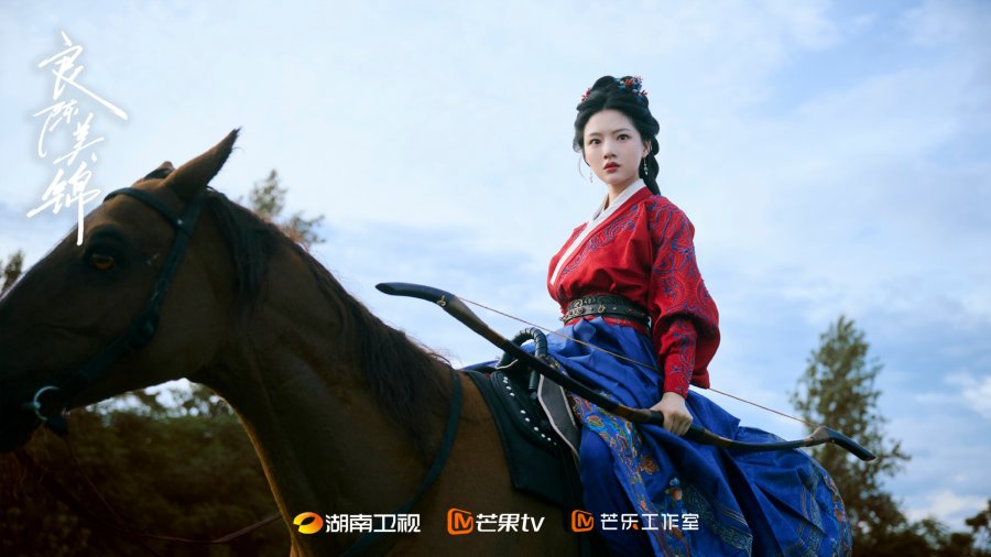 A Splendid Match Drama Review - Gu Jin Zhao