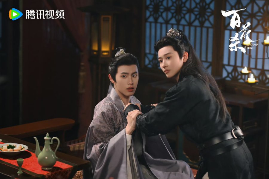 Blossoms of Power Ending Explained - What Happened to Bu Shu Lin and Cui Jin Bai?